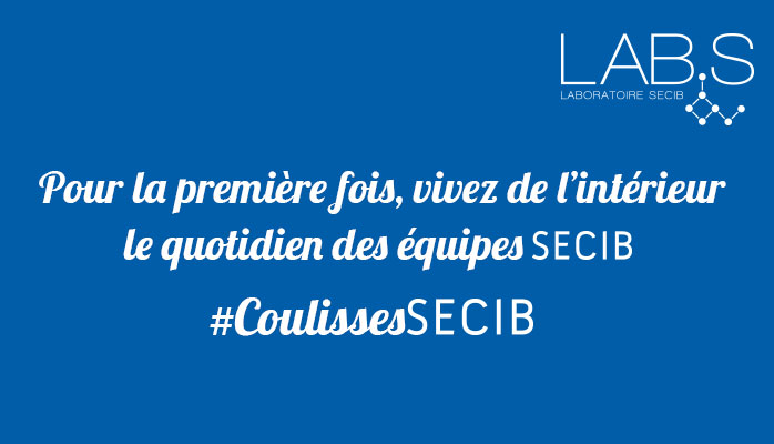 Pour notre séminaire, vous serez en immersion au siège social de SECIB à Montpellier... Découvrez notre programme !